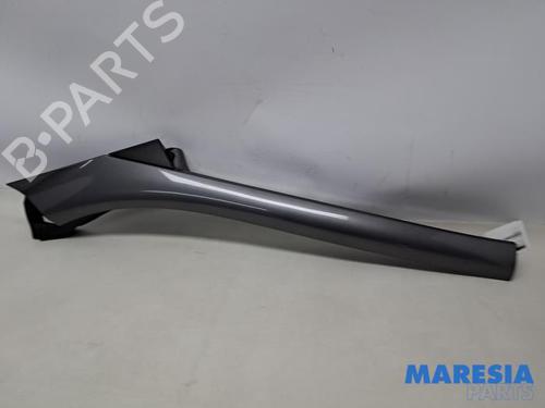 Annen RENAULT SCÉNIC III (JZ0/1_) 1.6 16V (JZ0U, JZ1B) (110 hp) 31816607