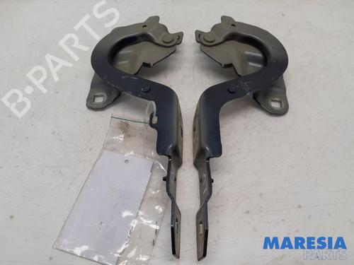 Dørhængsel/Dørbegrænser RENAULT ZOE (BFM_) ZOE (BFMD) | BP31445992C146