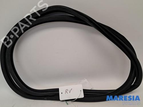 Gummiliste PEUGEOT 308 II (LB_, LP_, LW_, LH_, L3_) 1.2 THP 130 (131 hp) 31446059