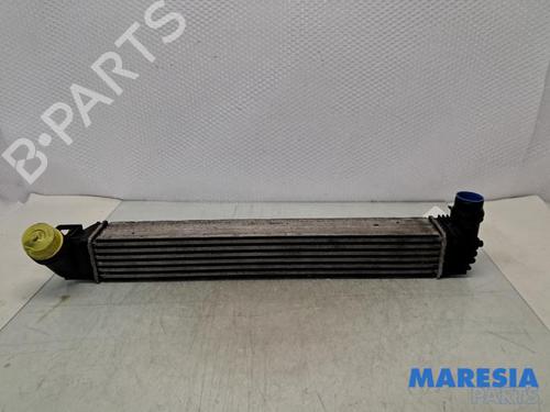 Intercooler RENAULT SCÉNIC III (JZ0/1_) 1.5 dCi (110 hp) 32394899