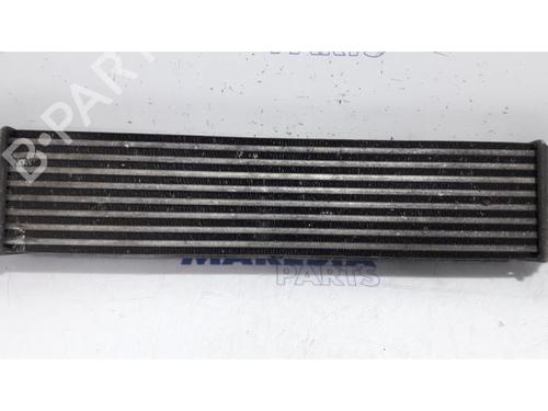 Intercooler FIAT DOBLO Cargo (263_) 1.3 D Multijet | BP31483079M30 