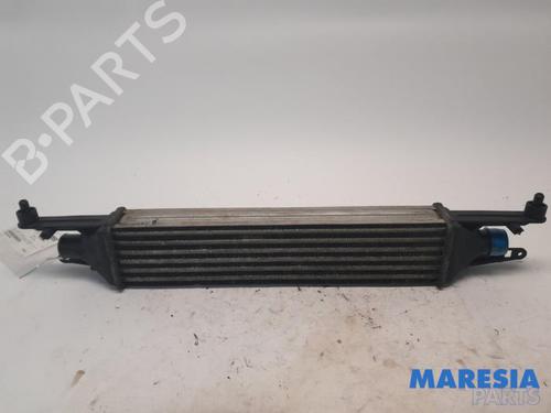 Intercooler FIAT PUNTO EVO (199_) 1.3 D Multijet (84 hp) 31436611