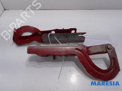 Hinge/Door check strap FIAT SCUDO Van (270_, 272_) 1.6 D Multijet | BP31384725C146
