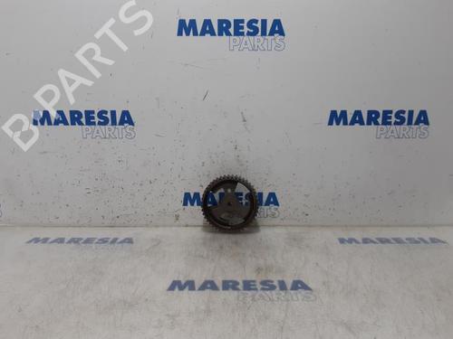 Used Pulley PEUGEOT 308 CC (4B_) 1.6 HDi (112 hp) 31383566