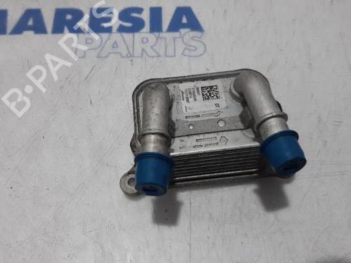 Used Oil radiator RENAULT CLIO IV Grandtour (KH_) 1.2 TCe 120 (KHAU) (118 hp) 31384850