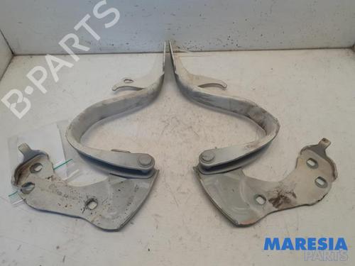 Used Hinge/Door check strap FIAT 500 (312_) 1.2 (312AXA1A) (69 hp) 31433211