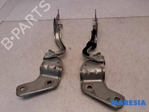 Hinge/Door check strap RENAULT CLIO III Grandtour (KR0/1_) 1.2 16V (KR0P) | BP31408575C146