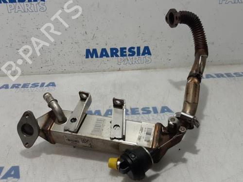 Used Egr RENAULT TRAFIC II Van (FL) 2.0 dCi 90 (FL0H, FL00, FL01, FL0M, FL0P, FL0S) (90 hp) 31530689