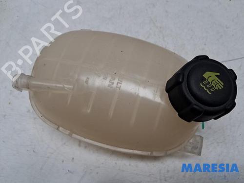 Ekspansjonstank RENAULT CLIO V (B7_) 1.0 TCe 100 (B7MT) (101 hp) 31519071