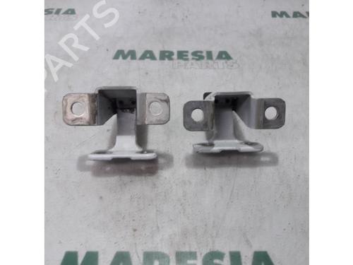 Hinge/Door check strap RENAULT KANGOO Express (FW0/1_) 1.5 dCi 90 (FW0G, FW05, FW08, FW11) | BP31431323C146