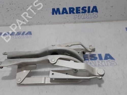 Used Hinge/Door check strap FIAT 500 (312_) 0.9 (312AXG1A, 312.AXG11) (86 hp) 31485711