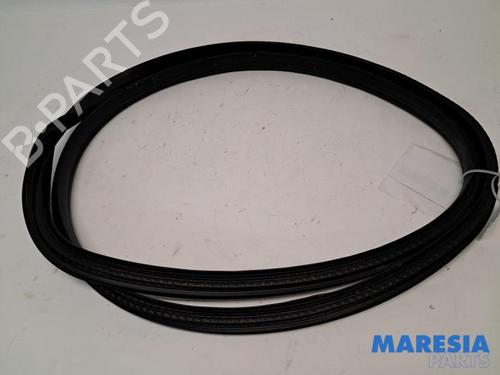 Gummilist RENAULT CLIO V (B7_) 1.0 TCe 100 (B7MT) (101 hp) 31431021