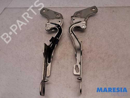 Used Hinge/Door check strap RENAULT CLIO III Grandtour (KR0/1_) 1.2 16V (KR0P) (101 hp) 31408575