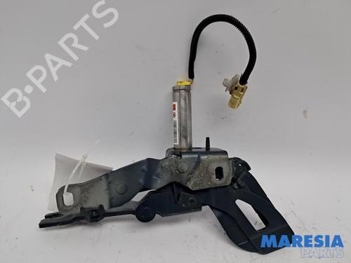 Used Hinge/Door check strap Hinge/Door check strap 36985376 36985376