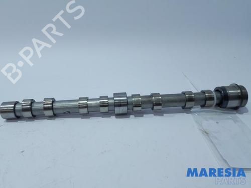 BP31528034O1 main image