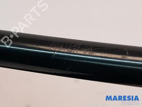 Headrest RENAULT CAPTUR I (J5_, H5_) 1.2 TCe 120 | BP31458272I31