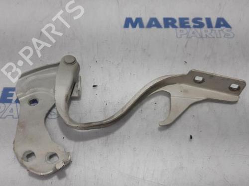 Used Hinge/Door check strap FIAT 500 (312_) 1.2 (312AXA1A) (69 hp) 31396227