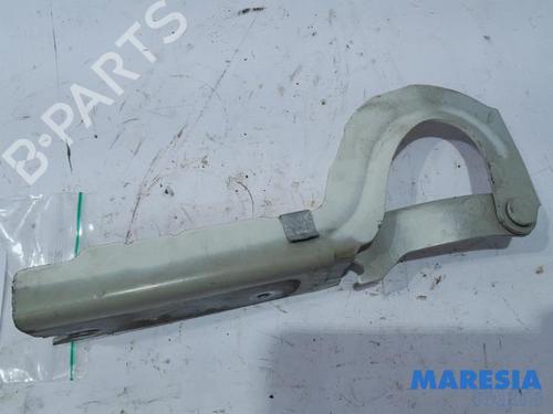 hingedoor-check-strap-citroen-jumpy-ii-van-2007-2008-2009-2010-2011-2012-2013-2014-2015-2016-31393472 main image