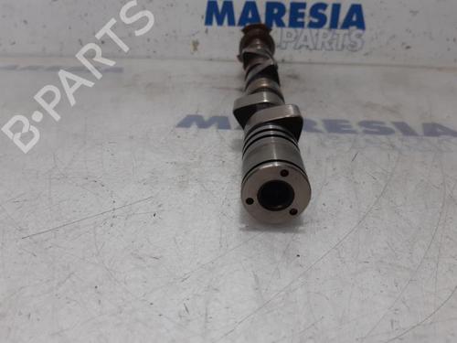 Other FIAT 500 (312_) 1.2 (312AXA1A) | BP31498642O1