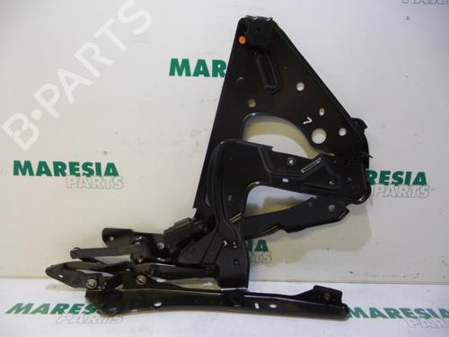 hingedoor-check-strap-renault-megane-ii-coupe-cabriolet-em01_-2003-2004-2005-2006-2007-2008-2009-2010-31386067 main image