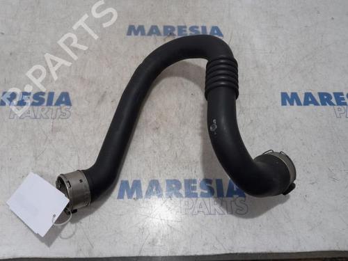 Used Exhaust system RENAULT MEGANE III Hatchback (BZ0/1_, B3_) 1.4 TCe (BZ0F, BZ1V) (131 hp) 31411258