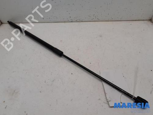 tailgate-lift-support-renault-megane-iii-grandtour-kz01-2008-2009-2010-2011-2012-2013-2014-2015-2016-31464171 main image