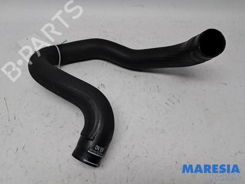 Used Pipe PEUGEOT 308 SW II (LC_, LJ_, LR_, LX_, L4_) 1.6 BlueHDi 120 (120 hp) 31483937