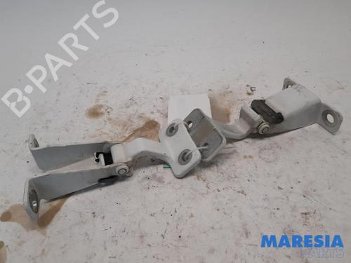 Used Hinge/Door check strap RENAULT KANGOO Express (FW0/1_) 1.5 dCi 75 (FW07, FW10, FW04) (75 hp) 31457040