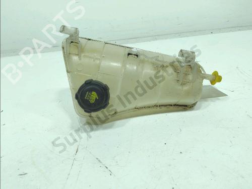 expansion-tank-renault-kangoo-express-fw01_-2008-38082098 main image