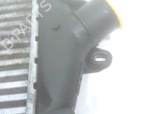 Intercooler RENAULT TRAFIC II Bus (JL) 2.0 dCi 115 (JL00, JL01, JL0H, JL0M, JL0U) | BP31954042M30 - Image 3