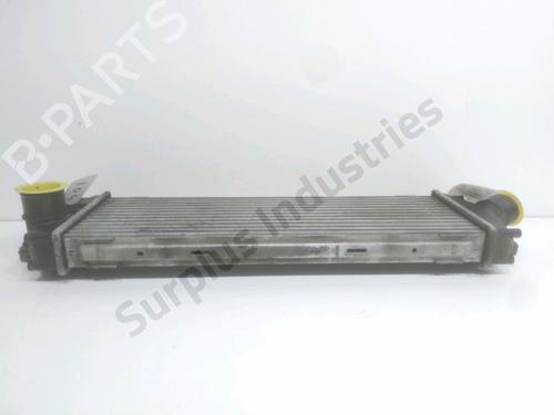 Intercooler RENAULT TRAFIC II Van (FL) 2.0 dCi 115 (FL01, FL0U, FL00, FL0H, FL0M) | BP31954029M30