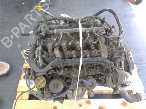 BP31954931C88 main image