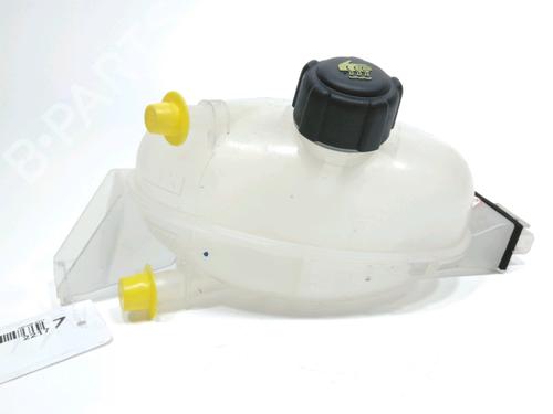 Used Expansion tank Expansion tank RENAULT TRAFIC II Bus (JL) 2.0 dCi 115 (JL00, JL01, JL0H, JL0M, JL0U) (114 hp) 34177805 34177805