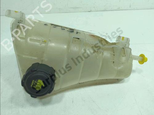 expansion-tank-renault-kangoo-express-fw01_-2008-38082099 main image