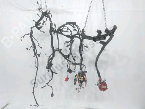 Ledningsnet RENAULT MASTER III Van (FV) 2.3 dCi 145 FWD (FV0E, FV0F, FV0H, FV02, FV0M, FV0S,... (146 hp) 31964388