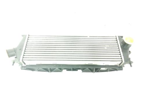 Intercooler Intercooler RENAULT TRAFIC II Bus (JL) 2.0 dCi 115 (JL00, JL01, JL0H, JL0M, JL0U) (114 hp) 33903659 33903659