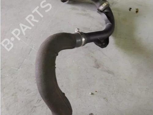 Rør RENAULT CLIO V (B7_) 1.0 LPG (B7MT) | BP38694946M125 - Image 5