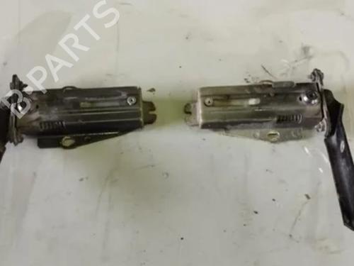 hingedoor-check-strap-citroen-c6-td_-2005-2006-2007-2008-2009-2010-2011-2012-38697166 main image