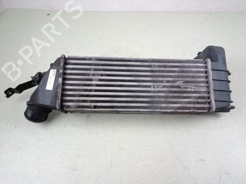Intercooler Intercooler 39125245 39125245