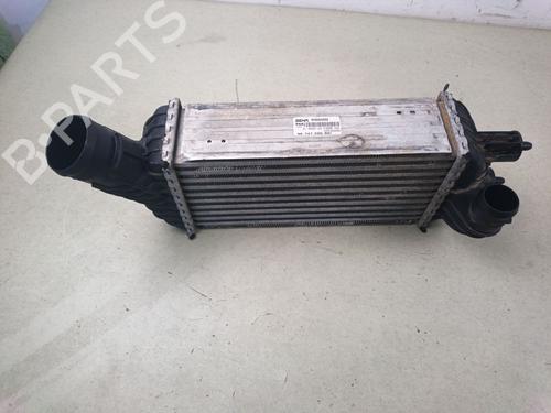 Used Intercooler Intercooler 39125253 39125253