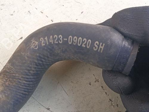 Pipe SSANGYONG KYRON 2.0 Xdi | BP38690433M125 - Image 2