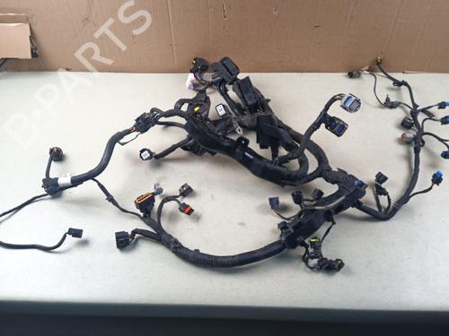 Used Wiring harness Wiring harness 38691430 38691430