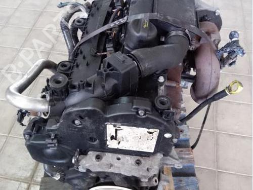 Used Engine Engine 38696910 38696910