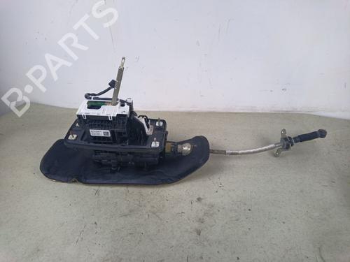 Gearstang Gearstang 38699773 38699773