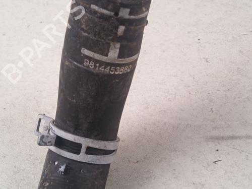 Pipe CITROËN C3 III (SX) 1.2 PureTech 82 | BP38692118M125 - Image 3