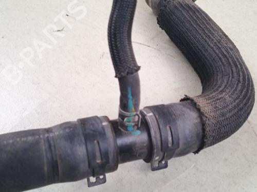 Pipe RENAULT KOLEOS II (HC_) 2.0 dCi 175 4WD | BP38686401M125 - Image 3