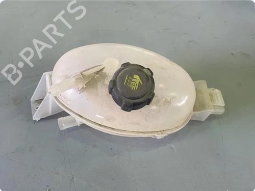 expansion-tank-renault-master-iii-van-fv-2010-39636212 main image