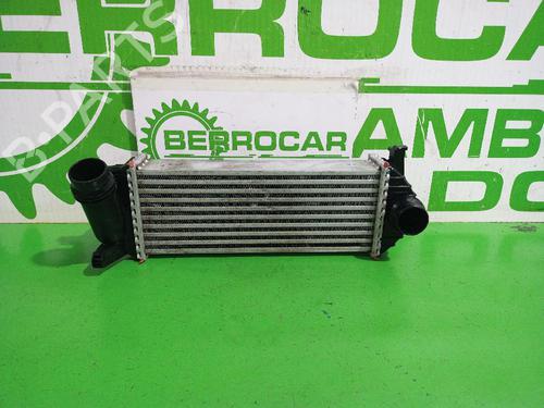 Intercooler RENAULT KANGOO BE BOP (KW0/1_) 1.5 dCi 75 (75 hp) 31551875