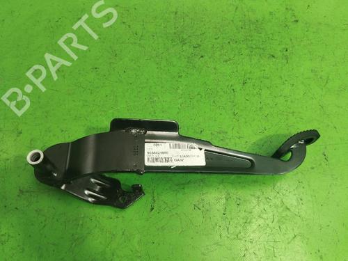 Break pedal CITROËN C5 I Break (DE_) 2.0 HDi (DERHZB, DERHZE) | BP31547274I19