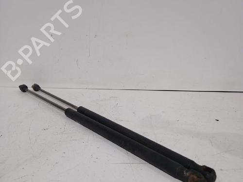 Tailgate lift support FORD FOCUS C-MAX (DM2) 2.0 TDCi | BP32464584C138